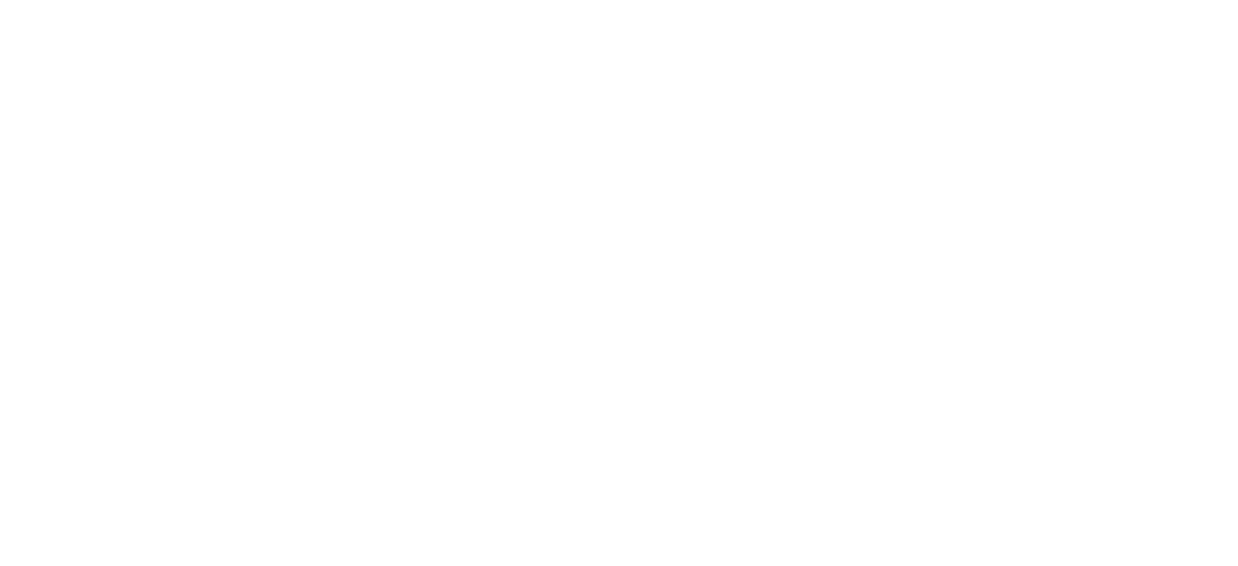Dr Igor Vilela
